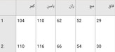 شلوار بگ سیلک پلنگی